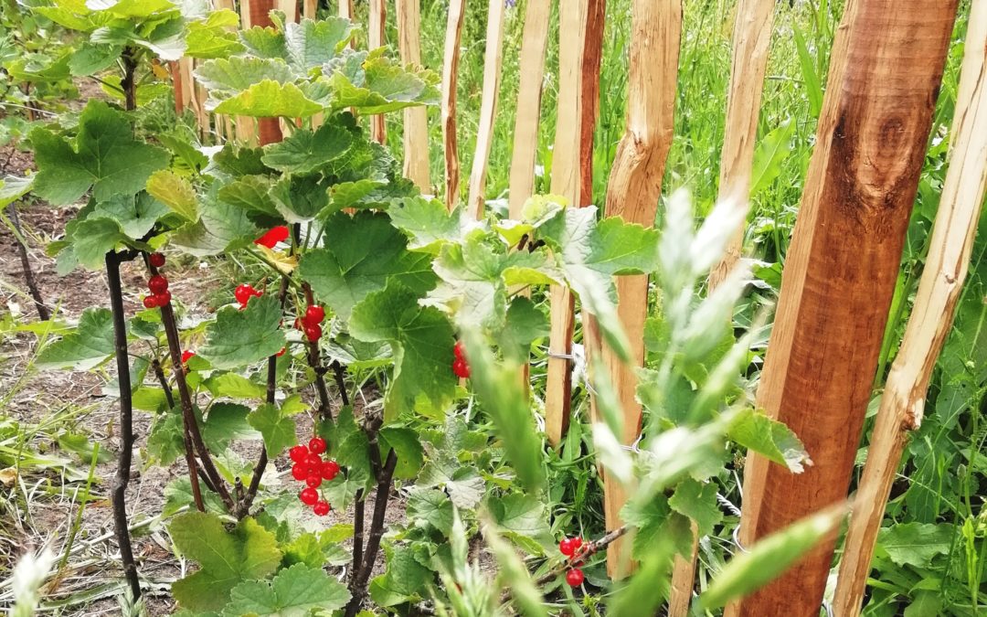 Herbstputz 10.11. ab 9.00 Uhr